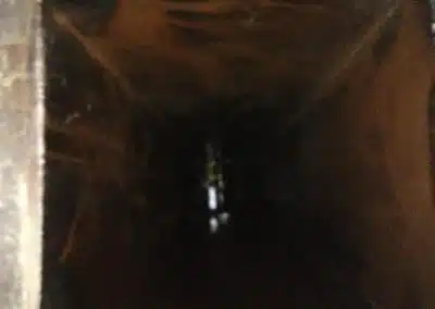 Commercial Cleaning Services, d Poole cleaning | Hood and Duct cleaning services