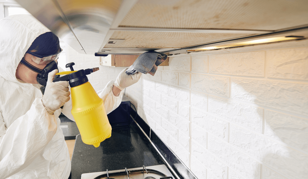 Commercial Cleaning Services, d Poole cleaning