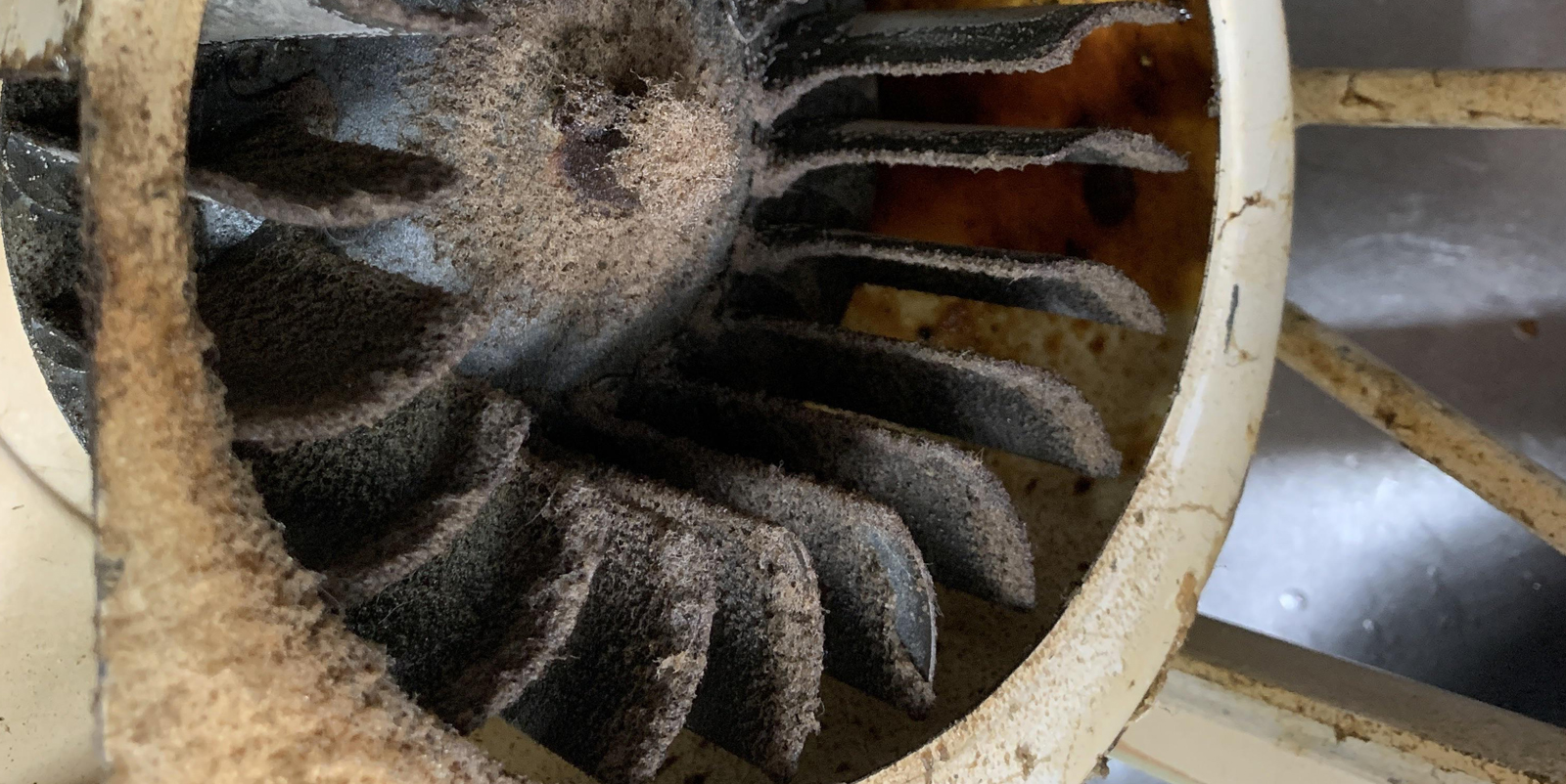 Exhaust Fan Cleaning